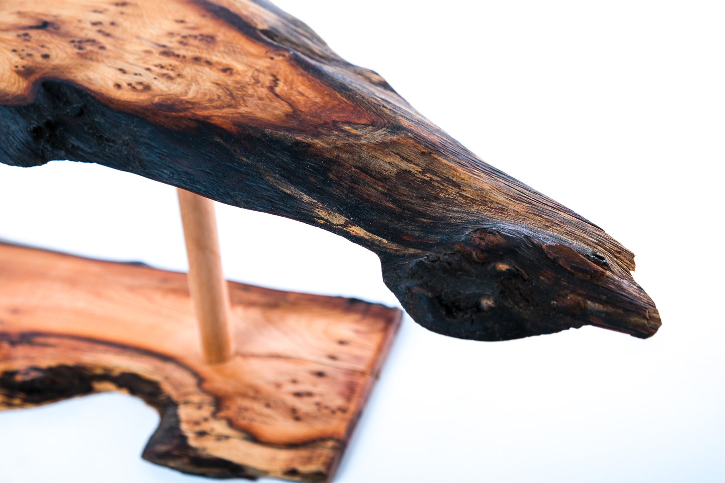 Elm plant stand with natural edge. Waney edge plant stand.