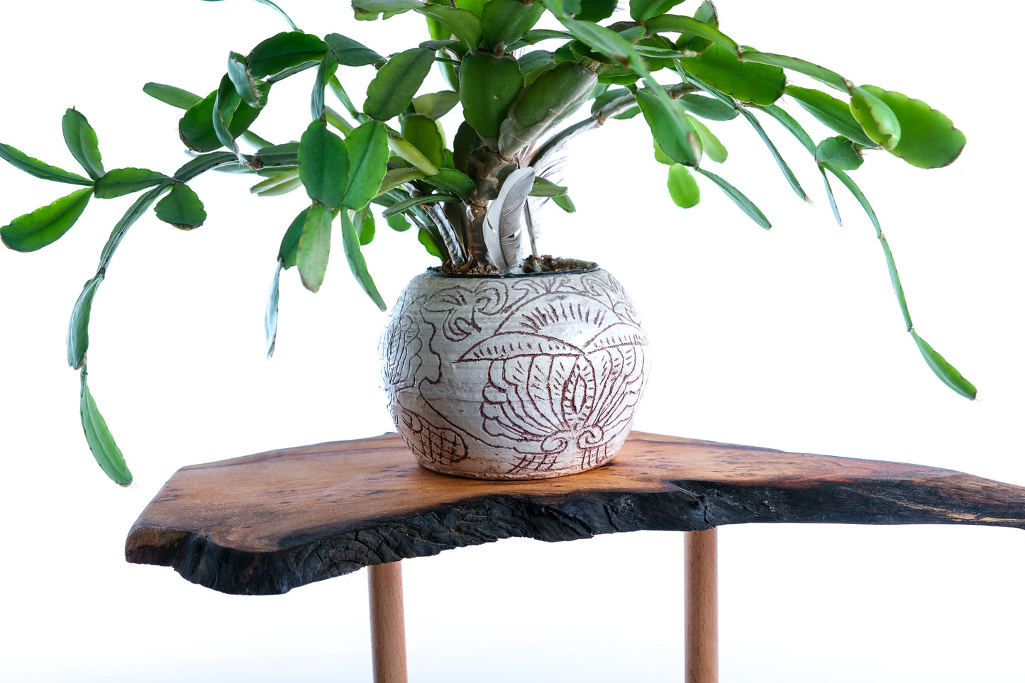 Elm plant stand with natural edge. Waney edge plant stand.